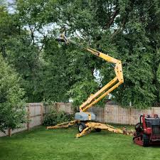 Mulching Services in Dunlap, TN