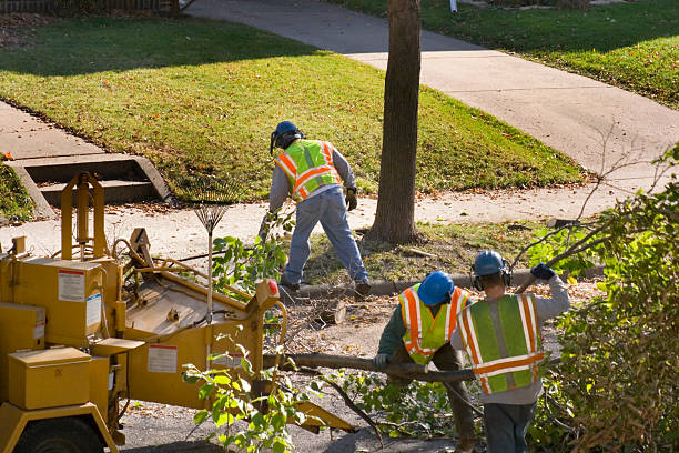 Best Tree Risk Assessment  in Dunlap, TN